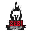 SESI / Araraquara W