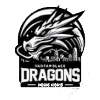 Vanta Black Dragons