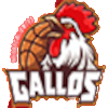 Gallos de Aguascalie