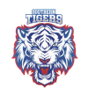 Johor Southern Tiger