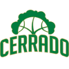 Cerrado Basquete W