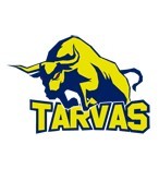 Tarvas