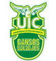 Gansos Salvajes