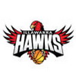 Illawarra Hawks