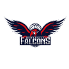 Newcastle Falcons (W)''s